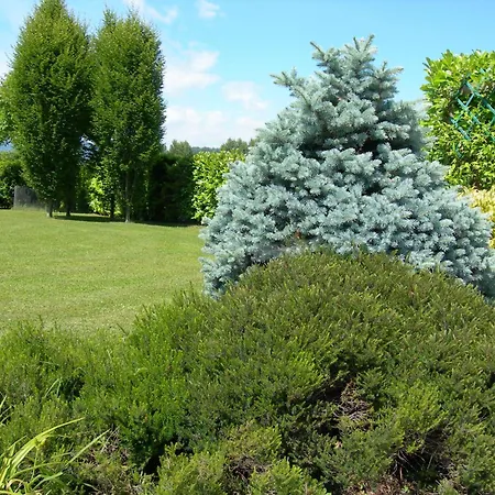 Frühstückspension Zia Maria 3*