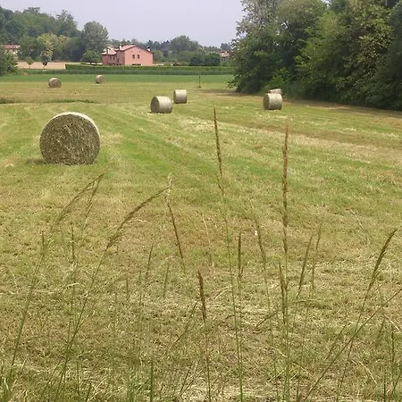 Zia Maria Bed & Breakfast Asolo